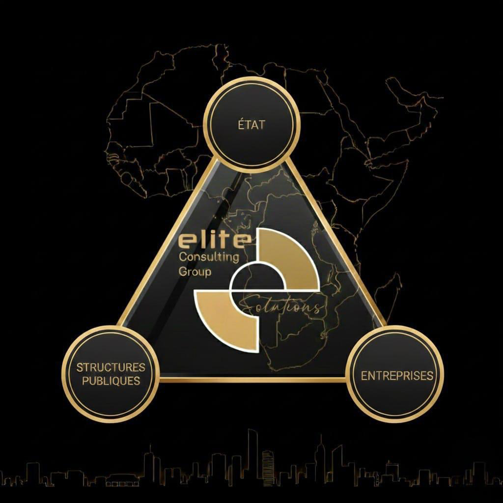 Elite Consulting Group - État, Structures publiques, Entreprises